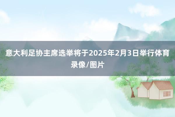 意大利足协主席选举将于2025年2月3日举行体育录像/图片