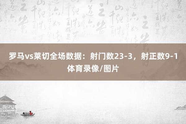 罗马vs莱切全场数据：射门数23-3，射正数9-1体育录像/图片