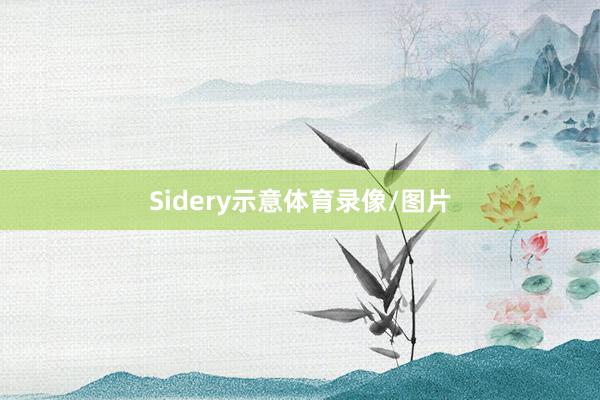 Sidery示意体育录像/图片