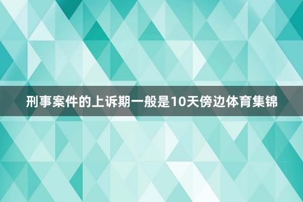 刑事案件的上诉期一般是10天傍边体育集锦