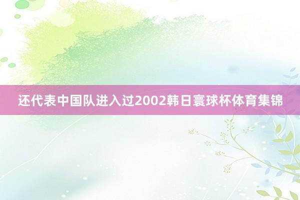还代表中国队进入过2002韩日寰球杯体育集锦