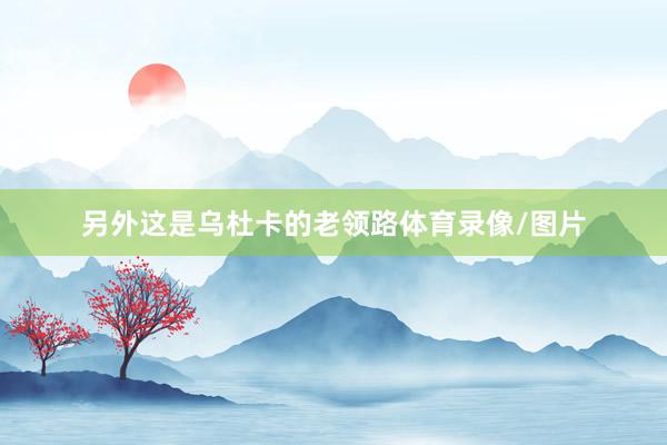 另外这是乌杜卡的老领路体育录像/图片