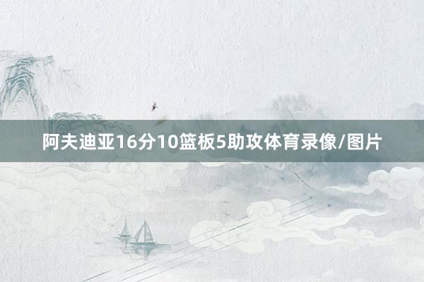 阿夫迪亚16分10篮板5助攻体育录像/图片