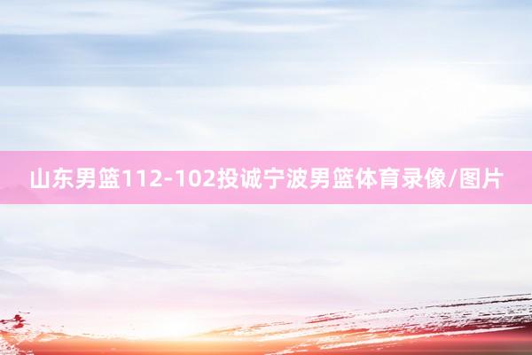 山东男篮112-102投诚宁波男篮体育录像/图片