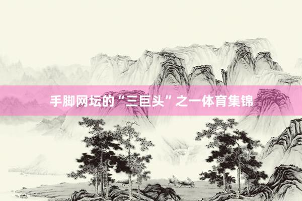 手脚网坛的“三巨头”之一体育集锦