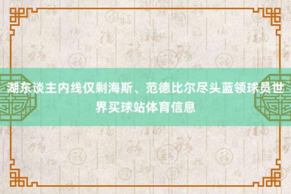 湖东谈主内线仅剩海斯、范德比尔尽头蓝领球员世界买球站体育信息