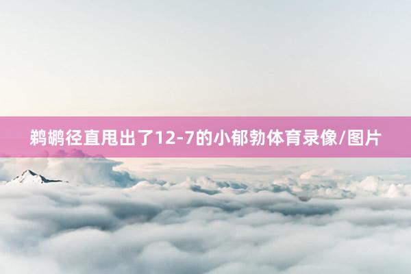 鹈鹕径直甩出了12-7的小郁勃体育录像/图片