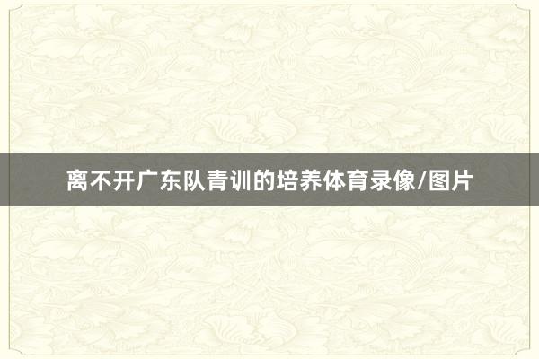 离不开广东队青训的培养体育录像/图片