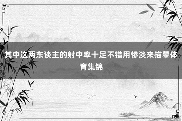 其中这两东谈主的射中率十足不错用惨淡来描摹体育集锦