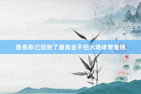 路易斯已回到了磨真金不怕火场体育集锦