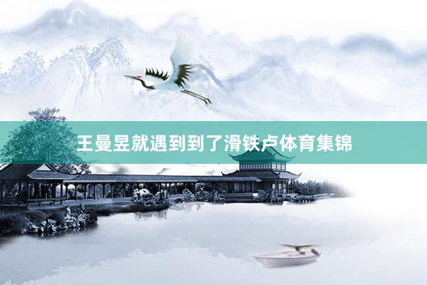王曼昱就遇到到了滑铁卢体育集锦