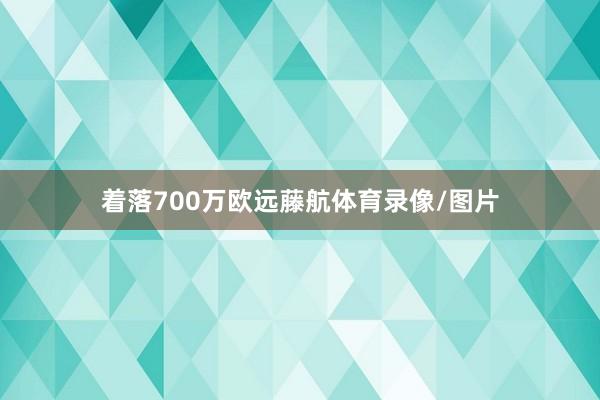 着落700万欧远藤航体育录像/图片