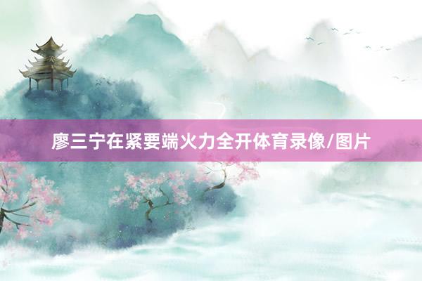 廖三宁在紧要端火力全开体育录像/图片