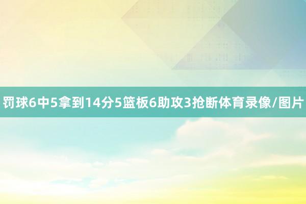 罚球6中5拿到14分5篮板6助攻3抢断体育录像/图片