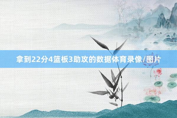拿到22分4篮板3助攻的数据体育录像/图片