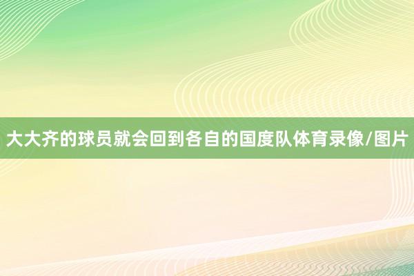 大大齐的球员就会回到各自的国度队体育录像/图片