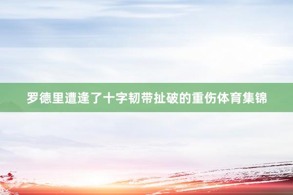 罗德里遭逢了十字韧带扯破的重伤体育集锦