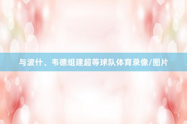 与波什、韦德组建超等球队体育录像/图片