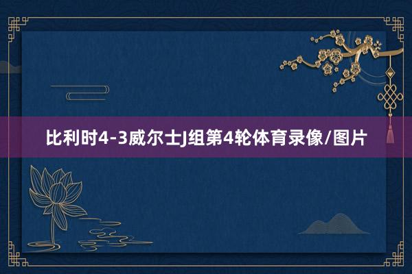 比利时4-3威尔士J组第4轮体育录像/图片