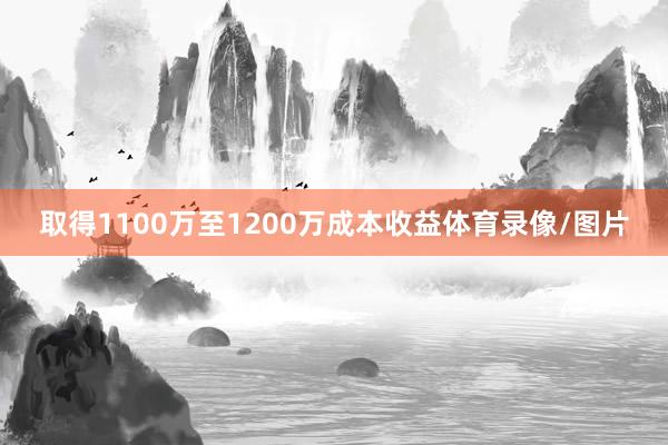 取得1100万至1200万成本收益体育录像/图片
