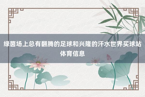 绿茵场上总有翻腾的足球和兴隆的汗水世界买球站体育信息