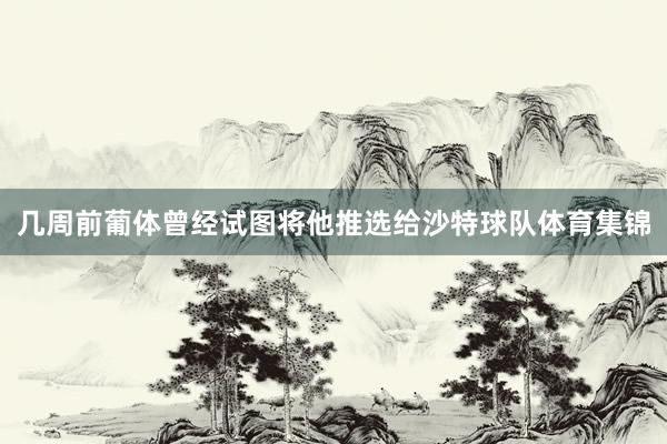 几周前葡体曾经试图将他推选给沙特球队体育集锦