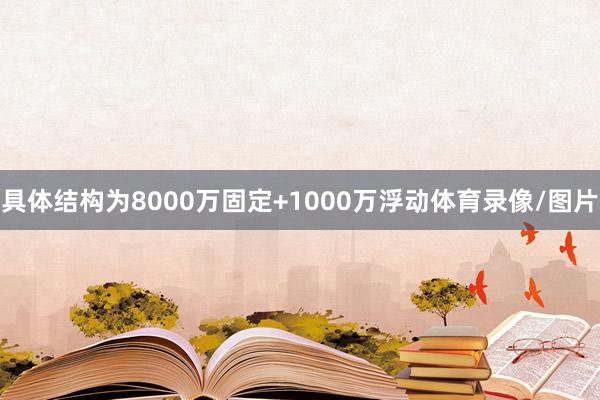 具体结构为8000万固定+1000万浮动体育录像/图片