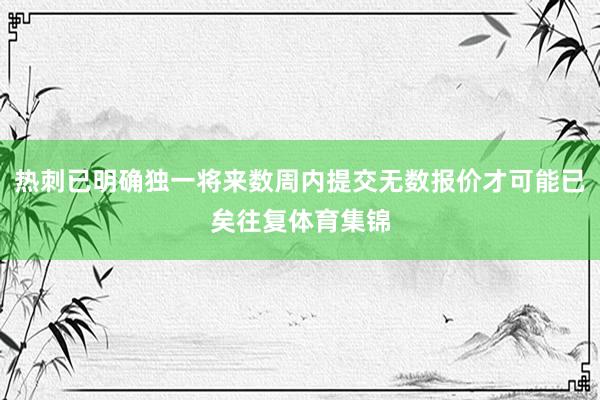 热刺已明确独一将来数周内提交无数报价才可能已矣往复体育集锦