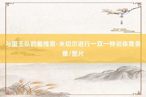 与国王队的戴维恩-米切尔进行一双一特训体育录像/图片