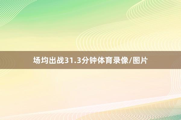 场均出战31.3分钟体育录像/图片