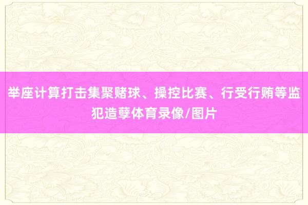 举座计算打击集聚赌球、操控比赛、行受行贿等监犯造孽体育录像/图片