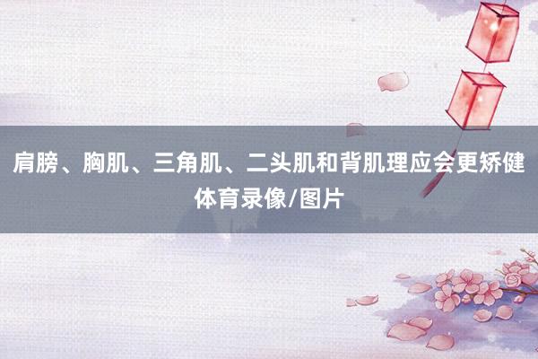 肩膀、胸肌、三角肌、二头肌和背肌理应会更矫健体育录像/图片