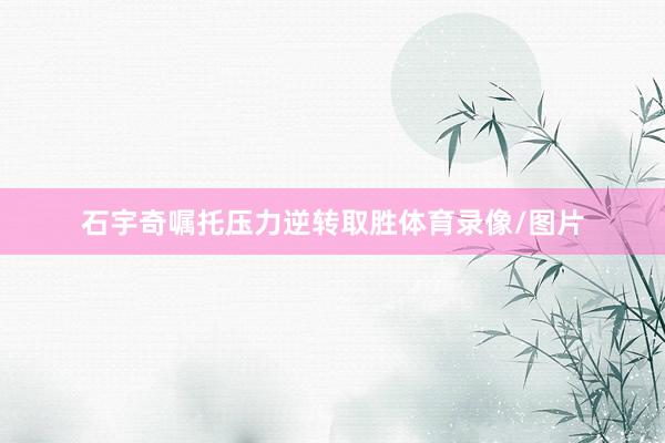 石宇奇嘱托压力逆转取胜体育录像/图片