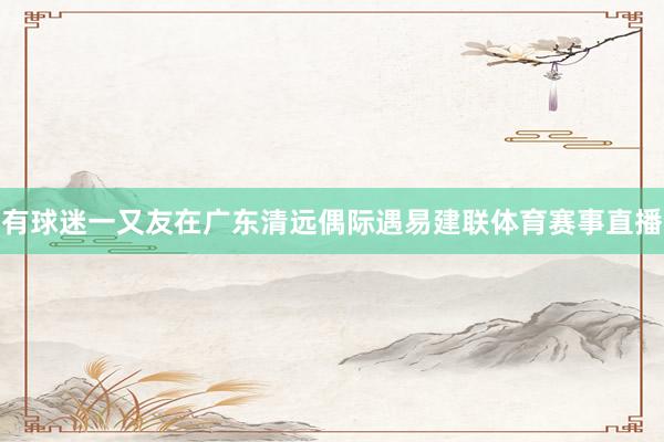 有球迷一又友在广东清远偶际遇易建联体育赛事直播