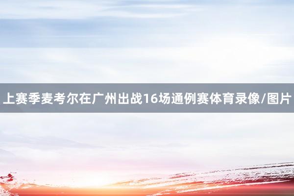 上赛季麦考尔在广州出战16场通例赛体育录像/图片