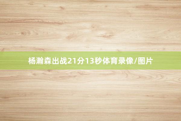 杨瀚森出战21分13秒体育录像/图片