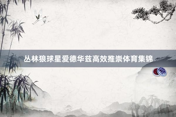 丛林狼球星爱德华兹高效推崇体育集锦