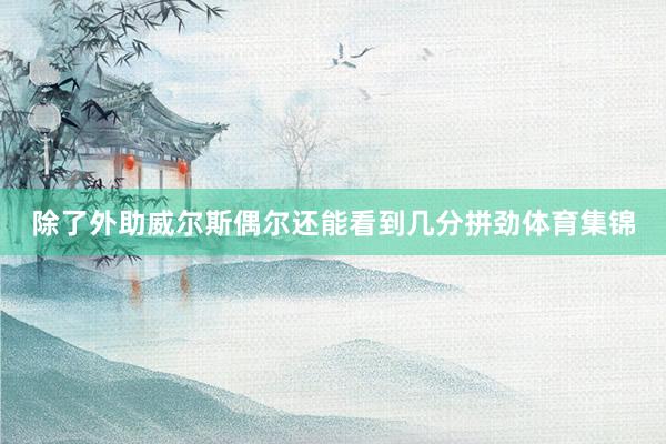 除了外助威尔斯偶尔还能看到几分拼劲体育集锦