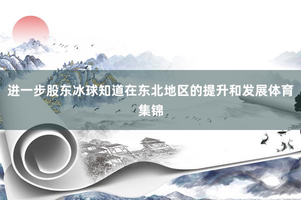 进一步股东冰球知道在东北地区的提升和发展体育集锦