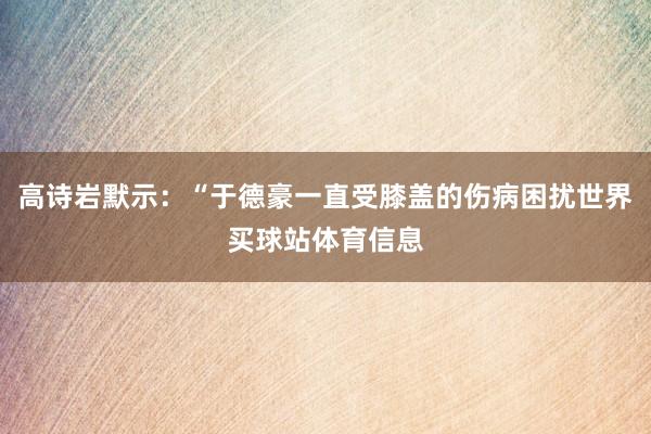 高诗岩默示：“于德豪一直受膝盖的伤病困扰世界买球站体育信息