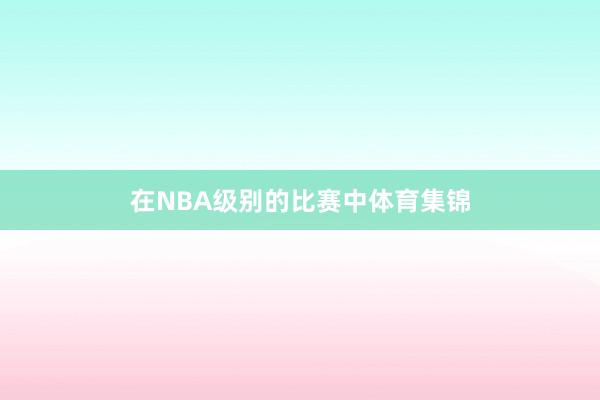 在NBA级别的比赛中体育集锦