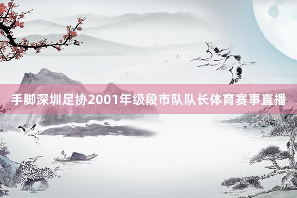 手脚深圳足协2001年级段市队队长体育赛事直播