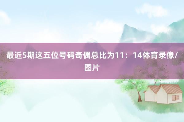 最近5期这五位号码奇偶总比为11:14体育录像/图片