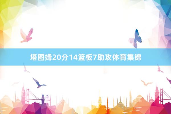 塔图姆20分14篮板7助攻体育集锦