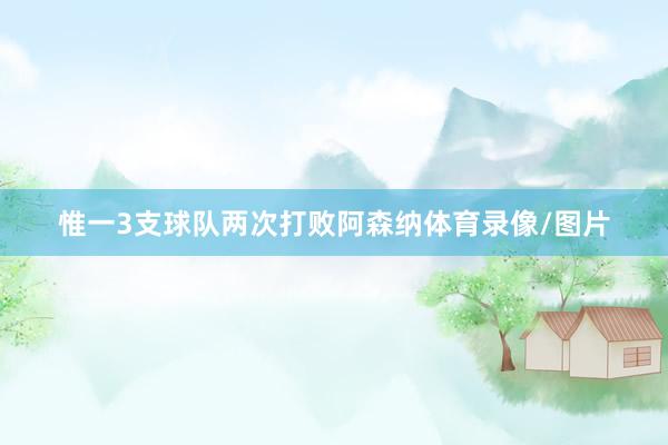 惟一3支球队两次打败阿森纳体育录像/图片