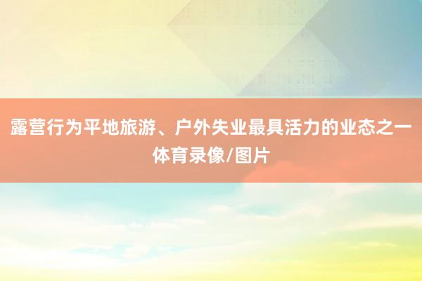露营行为平地旅游、户外失业最具活力的业态之一体育录像/图片