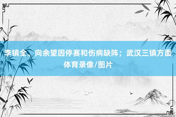 李镇全、向余望因停赛和伤病缺阵;武汉三镇方面体育录像/图片