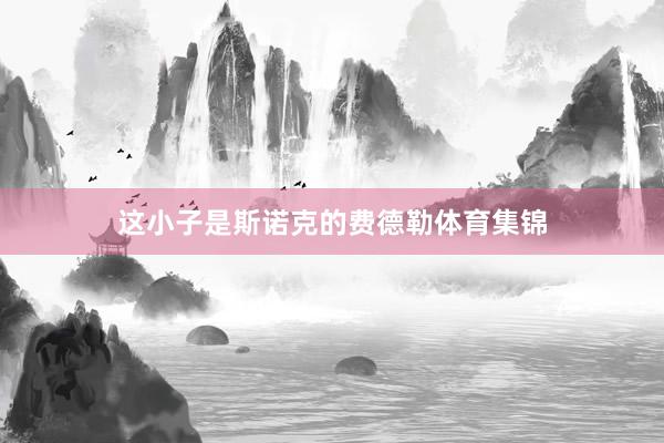 这小子是斯诺克的费德勒体育集锦