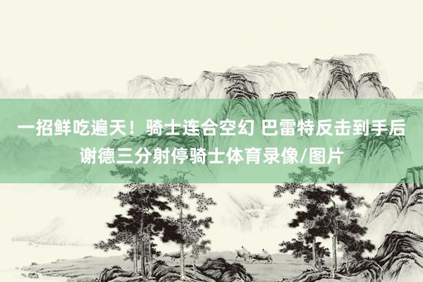 一招鲜吃遍天！骑士连合空幻 巴雷特反击到手后谢德三分射停骑士体育录像/图片
