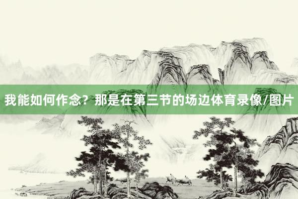 我能如何作念？那是在第三节的场边体育录像/图片